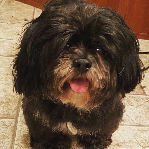 Meet your Posher, Wendy - Picture 3 of 4